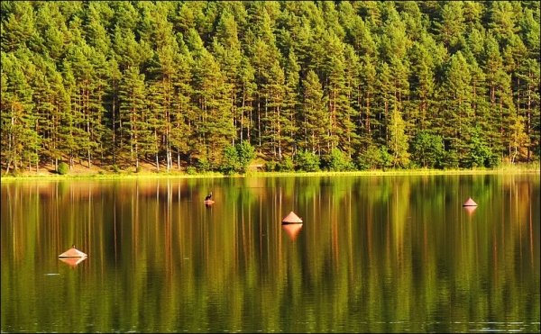 Jezioro Jelenie jesien_5