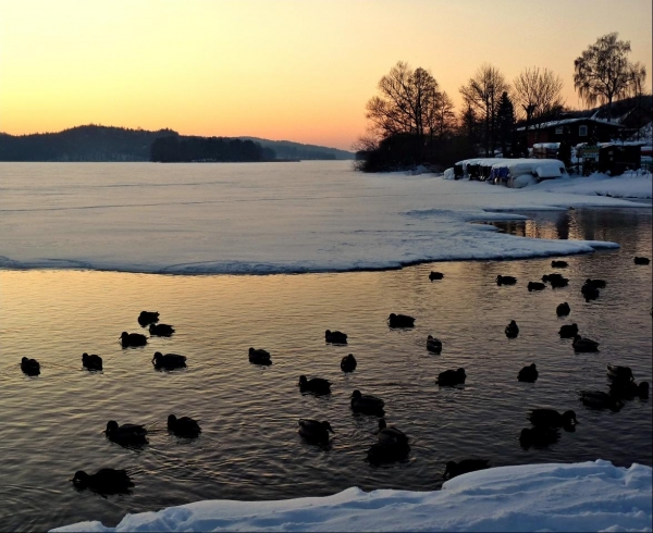 Jezioro Ostrzyckie zima_26