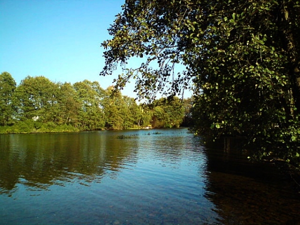 rzeka Radunia