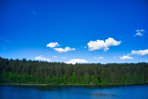 Jezioro Długie w Węsiorach-7