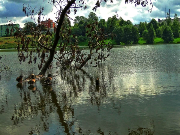Jezioro Klasztorne, Kartuzy