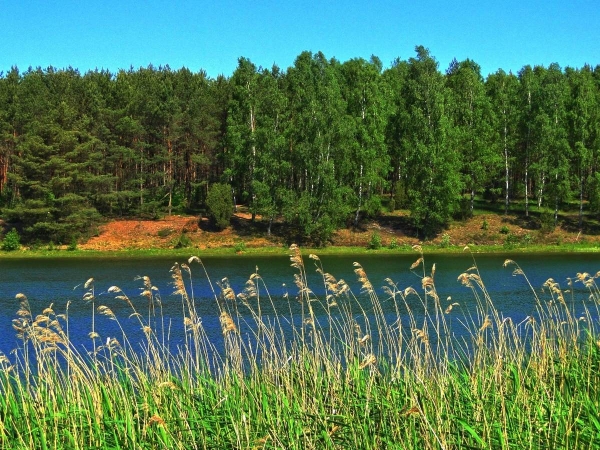 Jezioro Czarne, okolice Niesiołowic-2