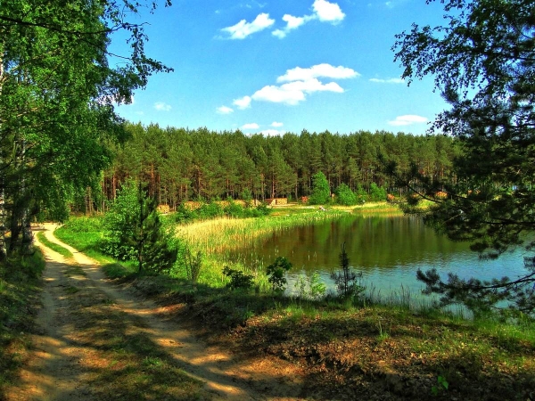 Jezioro Czarne, okolice Niesiołowic-3